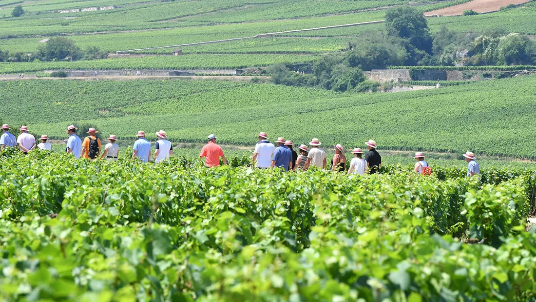La Balade Gourmande de cet été n'aura pas lieu. 