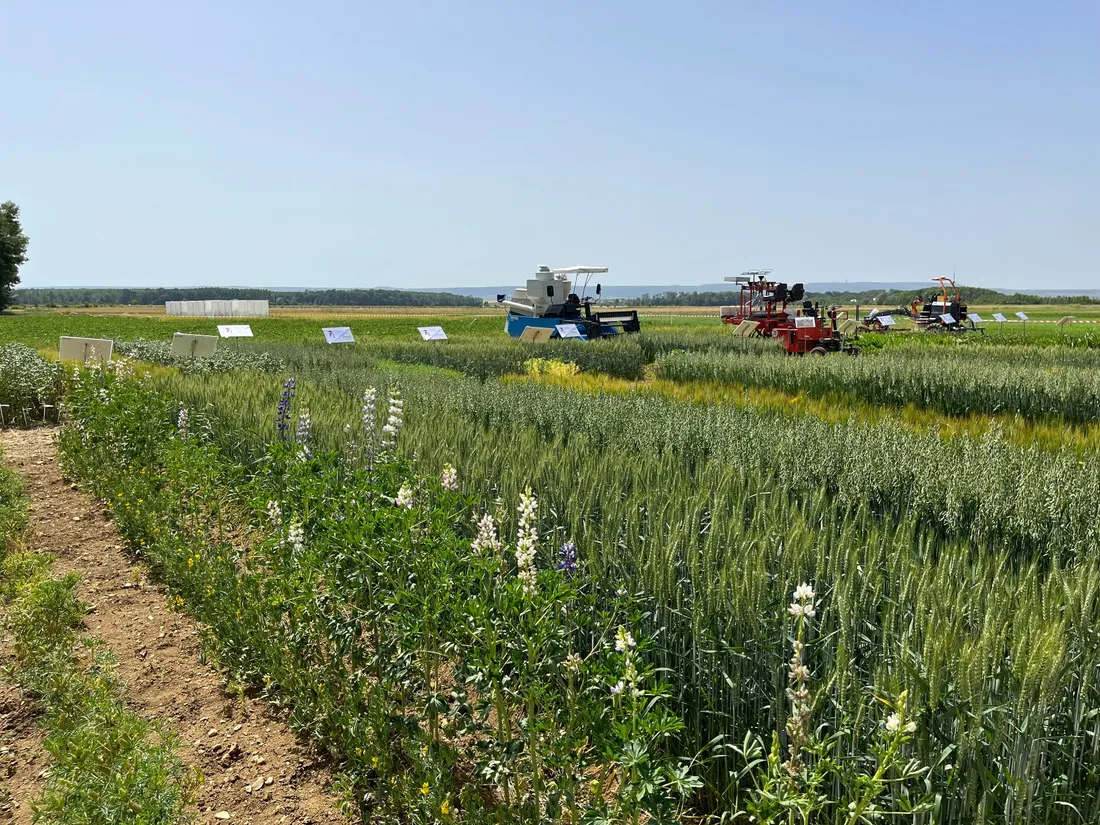 L'INRAE devient le quatrième membre d'un accord sur l'alimentation durable entre le Japon et Dijon.