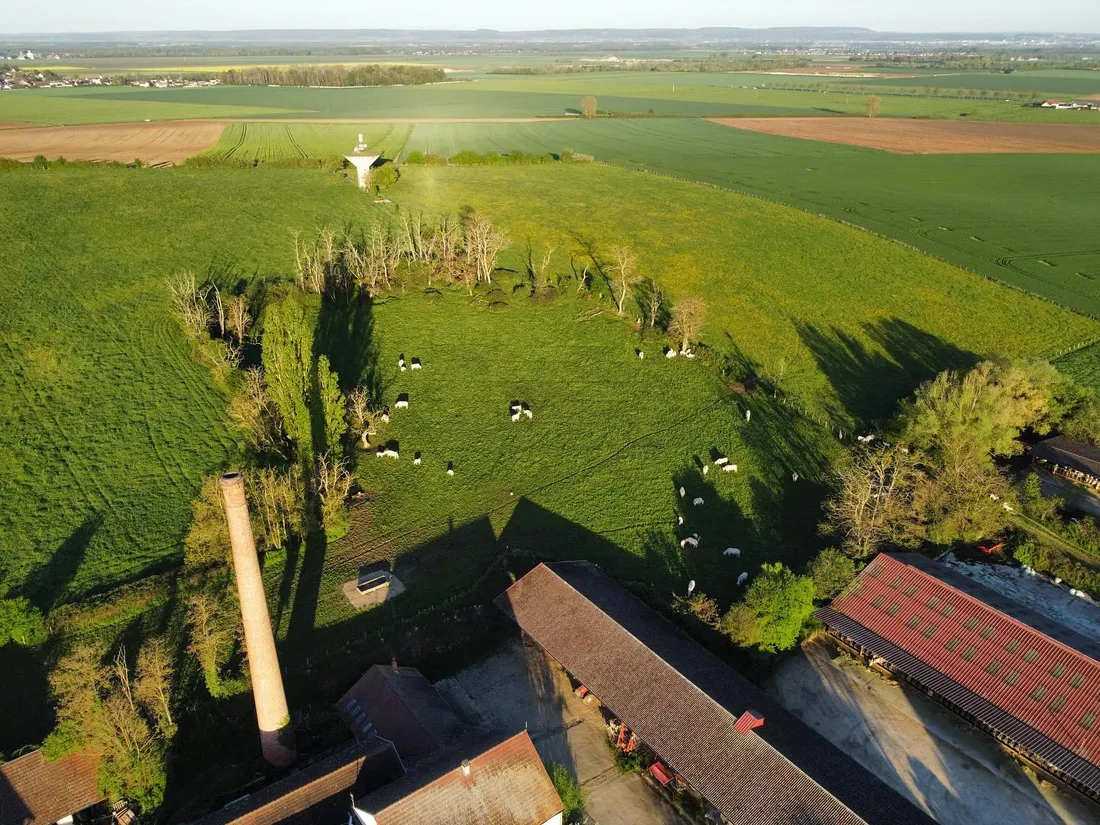 La ferme de Tart-le-Bas organise une après-midi portes ouvertes ce mercredi 6 mai en Côte-d'Or.