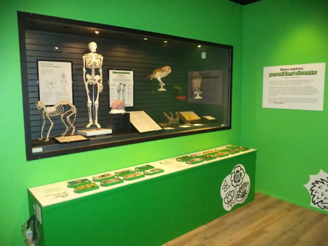 L'exposition : « VIVANTS ! Une aventure collective » est accessible au Jardin de l’Arquebuse.