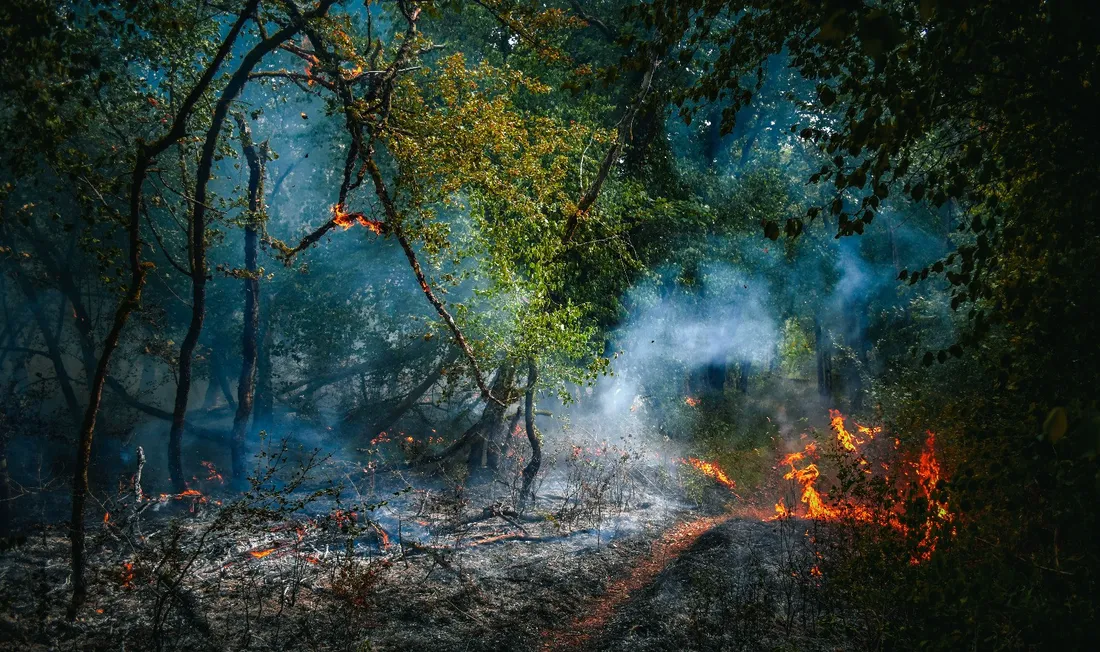 Le SDIS 21 fait le point sur la situation des incendies en Côte-d'Or. 