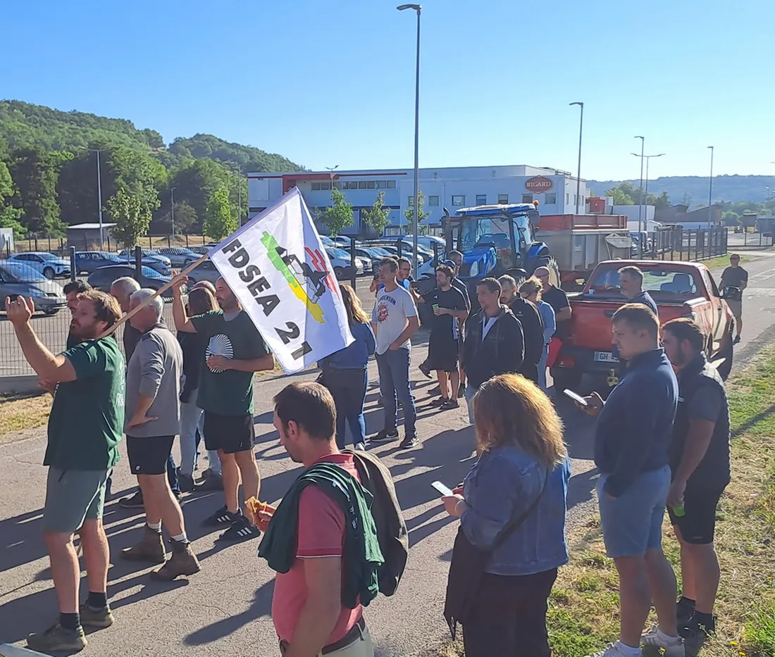 Les éleveurs de Côte-d'Or ont manifesté devant un abattoir Bigard ce mardi 28 juillet. 