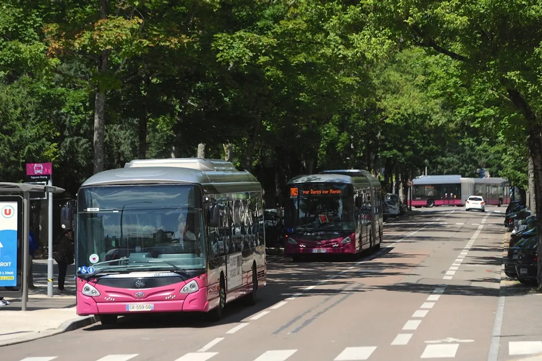 DiviaMobilités renforce son réseau ce vendredi 11 septembre. 