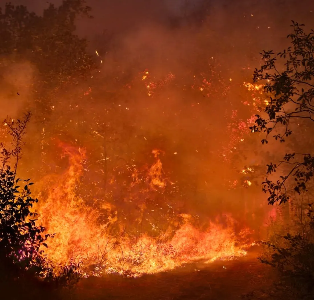 L'incendie de Plombières-lès-Dijon a brulé une surface de 12 hectares ce mardi 29 septembre. 