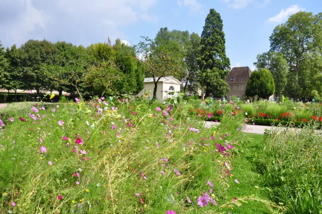 Le Jardin de l'Arquebuse regorge de bons plans et d'animations pour cet automne 2026. 