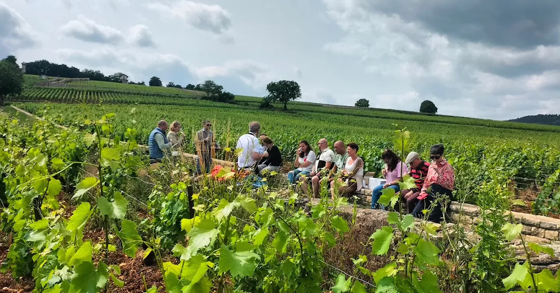 Visites guidées, dégustations, activités... Céline accueille un public de tout âge.