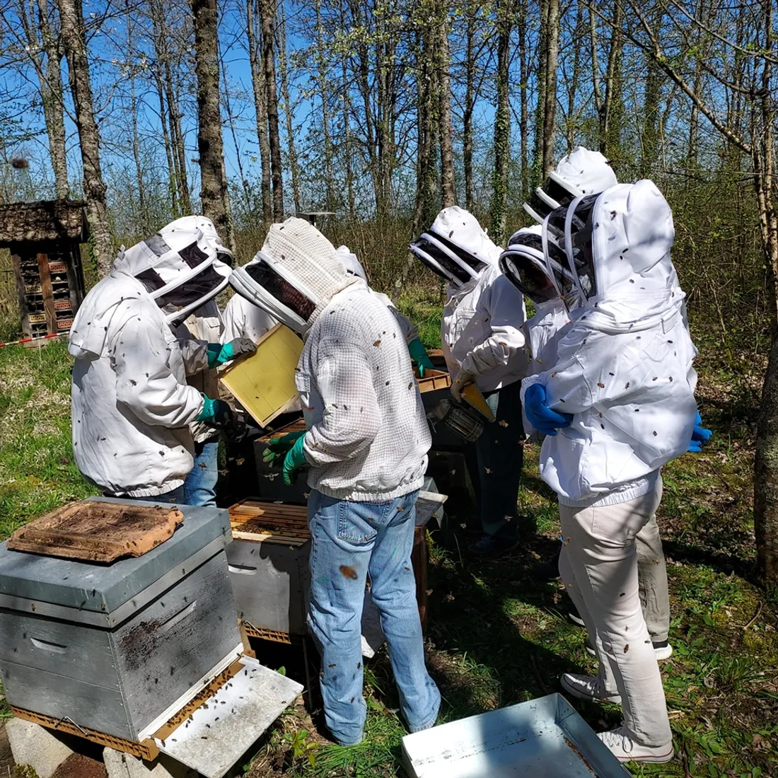 Les membres de l’association l’abeille chevignoise sont présents ce samedi 
