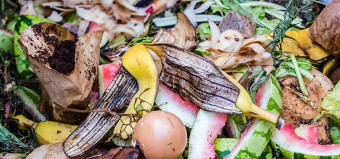 Les collectivités ont l’obligation de proposer une solution de tri des biodéchets à leurs habitants
