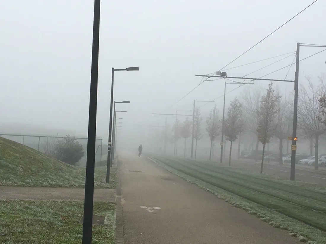 Le brouillard devrait rester d'actualité cette semaine en Côte-d'Or 
