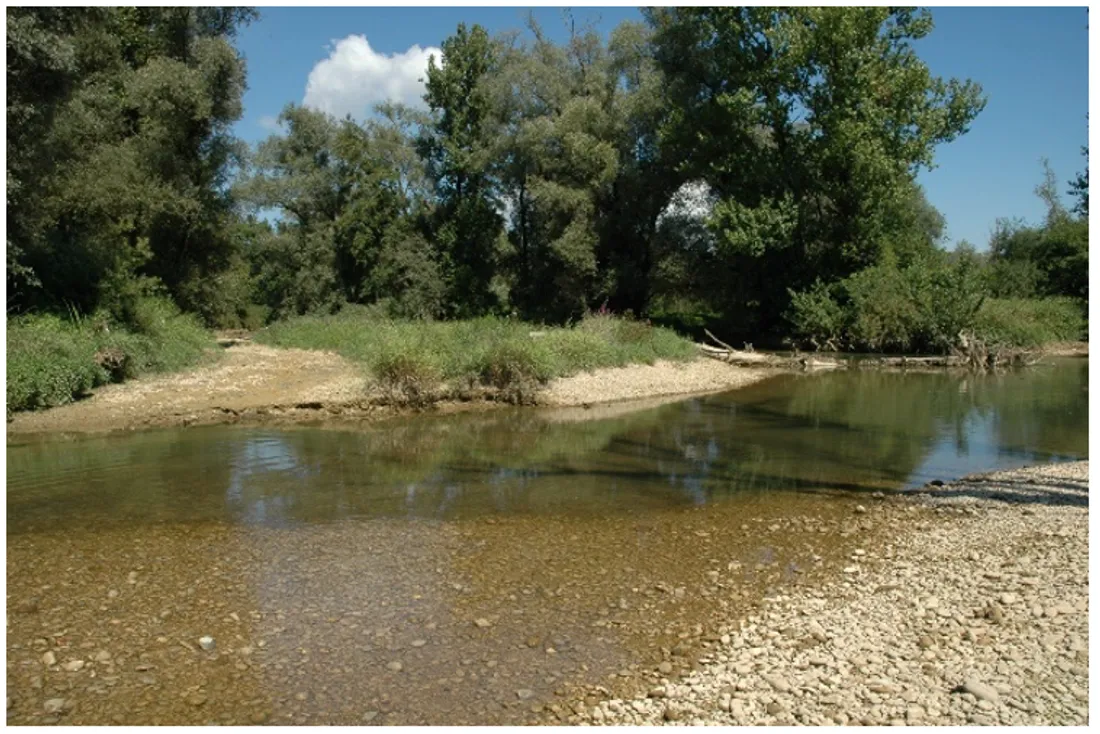 "Qualité Rivière" : une surveillance complète de la qualité des eaux