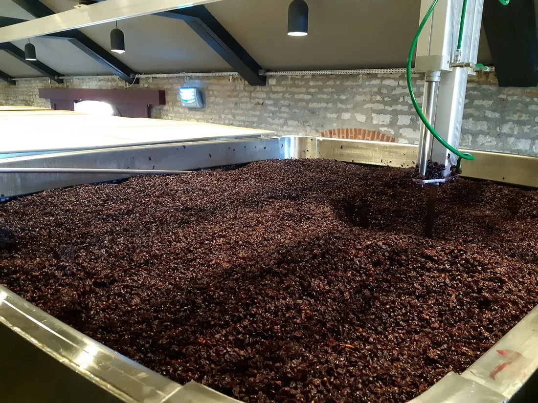 En Côte d'Or comme ailleurs, la douane accompagne le secteur de la viticulture 