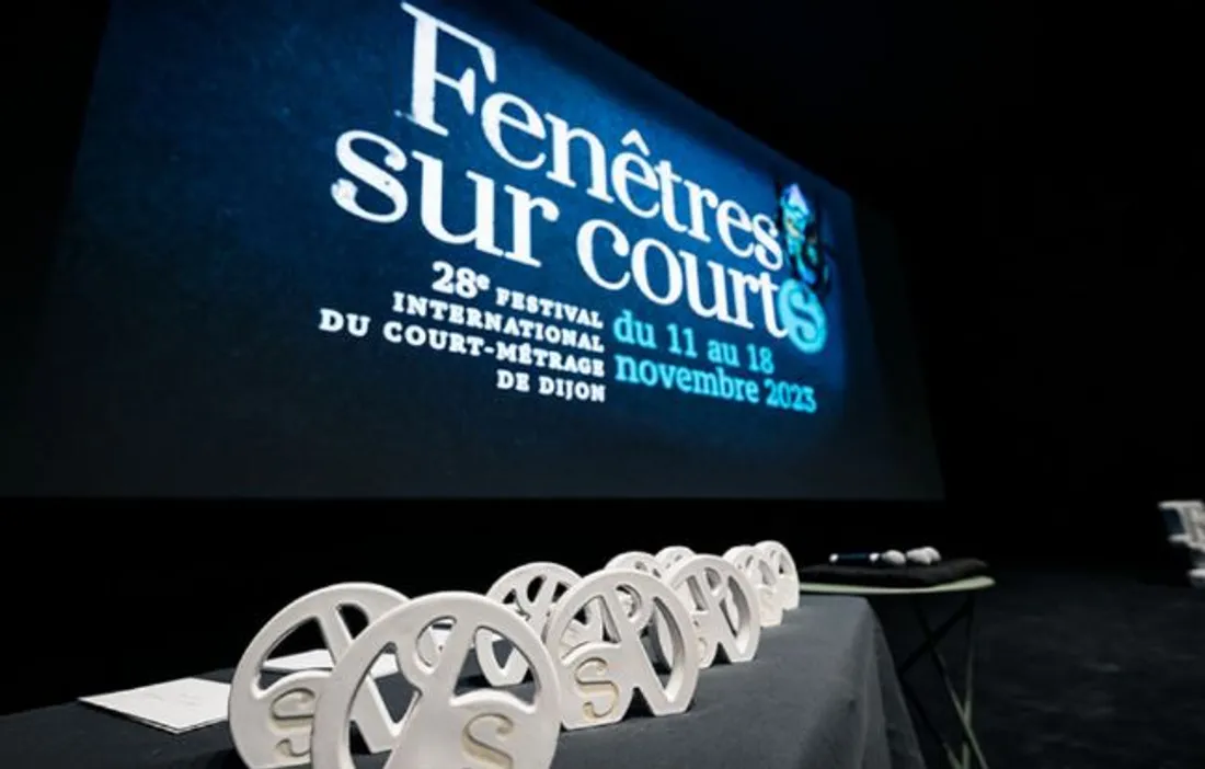 C'était cette année la 28eme édition du festival « Fenêtres sur courts »