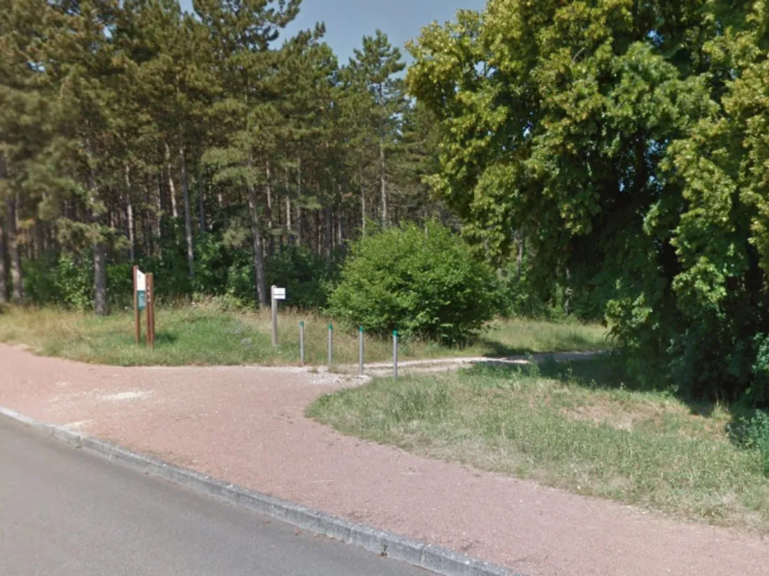 Risque de feu de forêt élevé : l'ONF recommande la plus grande prudence