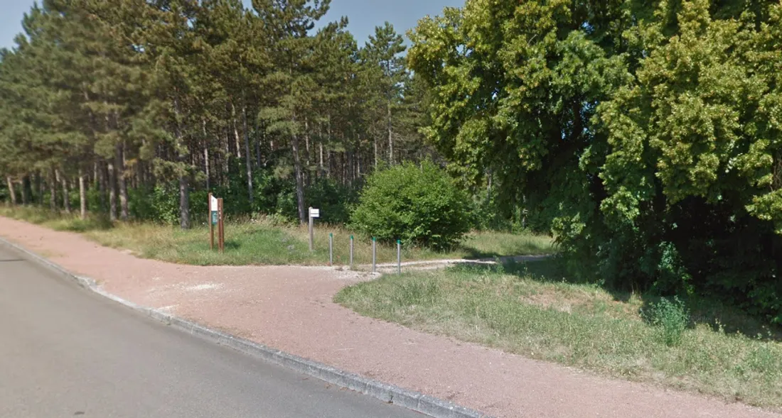 Dijon Métropole fête les 10 ans de la Forêt des Enfants ce dimanche 23 novembre. 