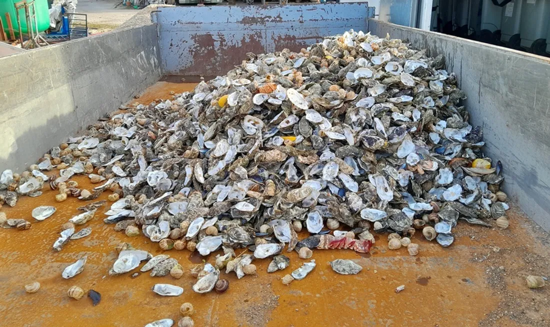 La collecte a eu lieu du 18 décembre 2024 au 6 janvier 2025