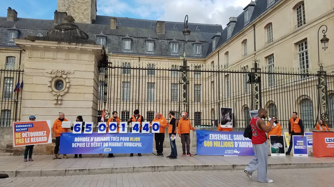 Les militants de L214 ont manifesté de 15h à 17h place de la Libération à Dijon. 