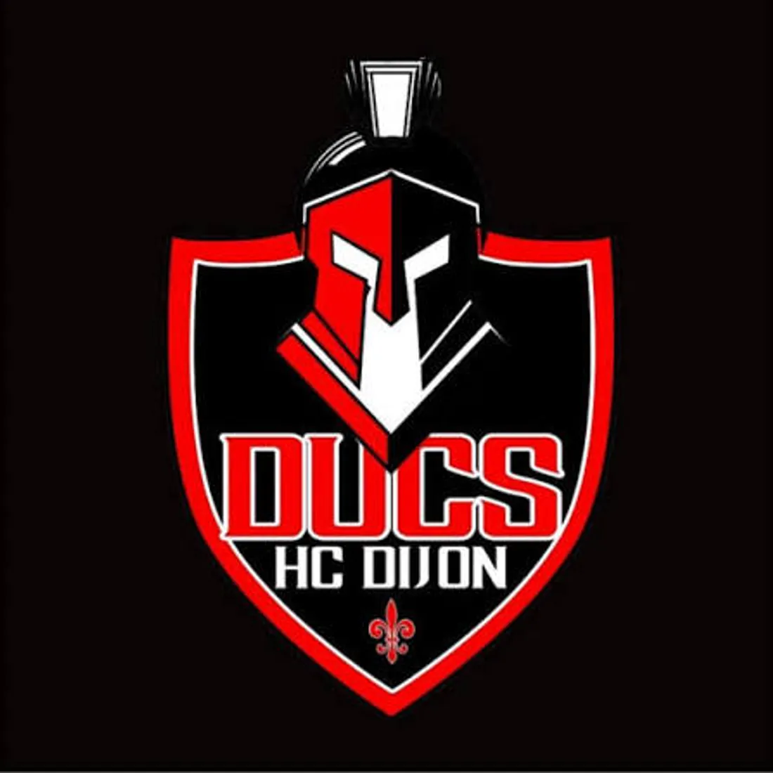 HC DIJON