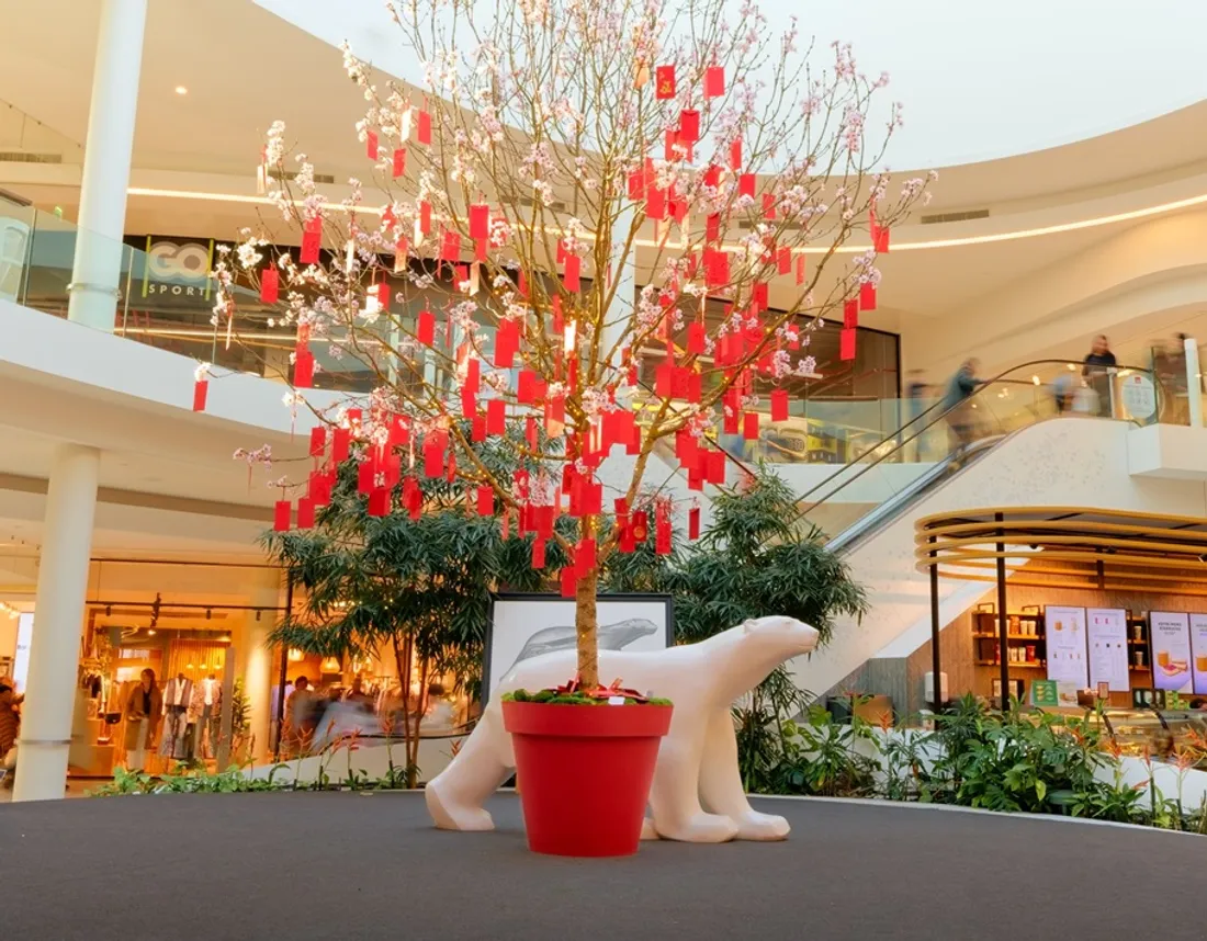 La Toison d'Or célèbre le nouvel an chinois 
