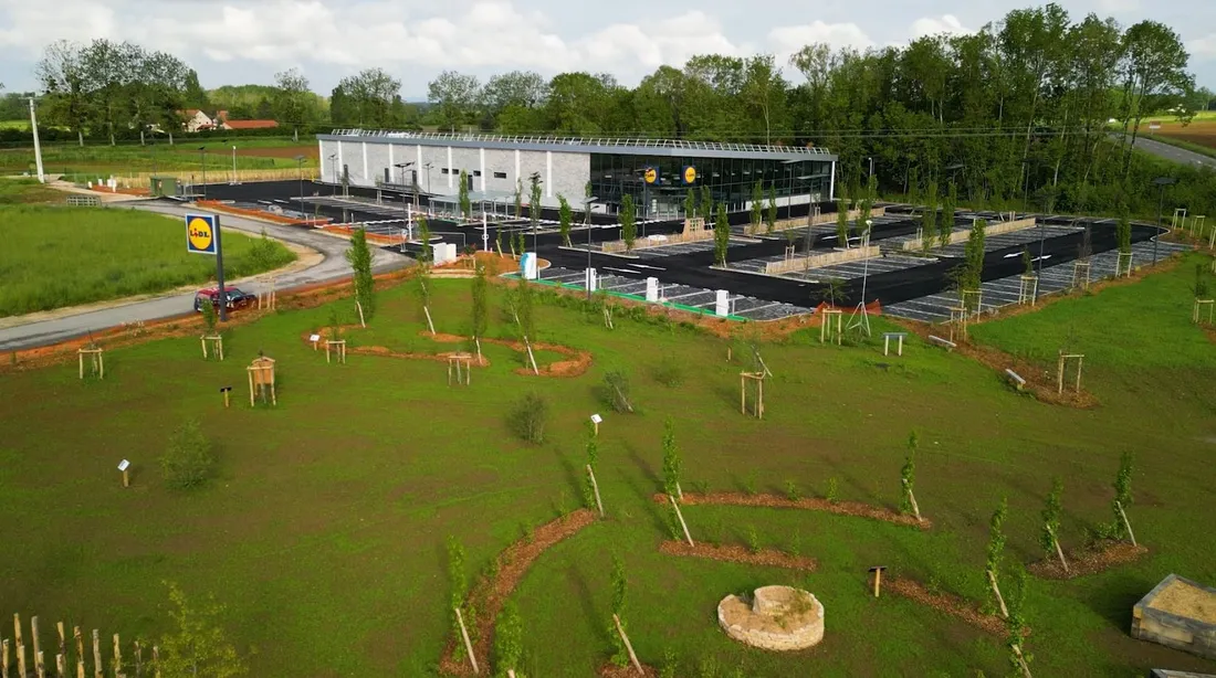 La direction de Lidl France va présenter un concept de « supermarché durable » à Saint-Usage