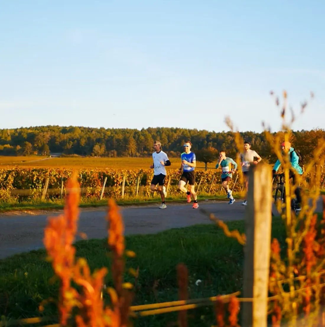 MARATHON DES GRANDS CRUS 
