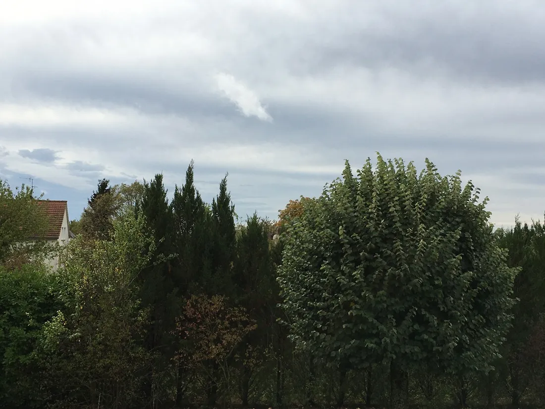 L’automne commence sous la grisaille en Côte-d’Or 