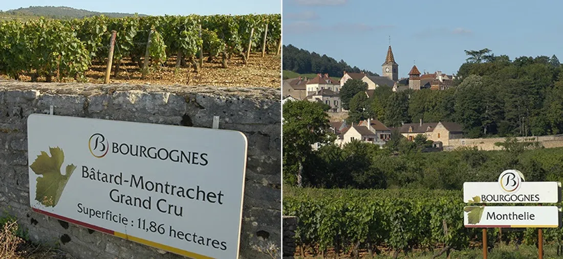 Le BIVB va organiser une vente aux enchères de près de 600 anciens panneaux d’appellation