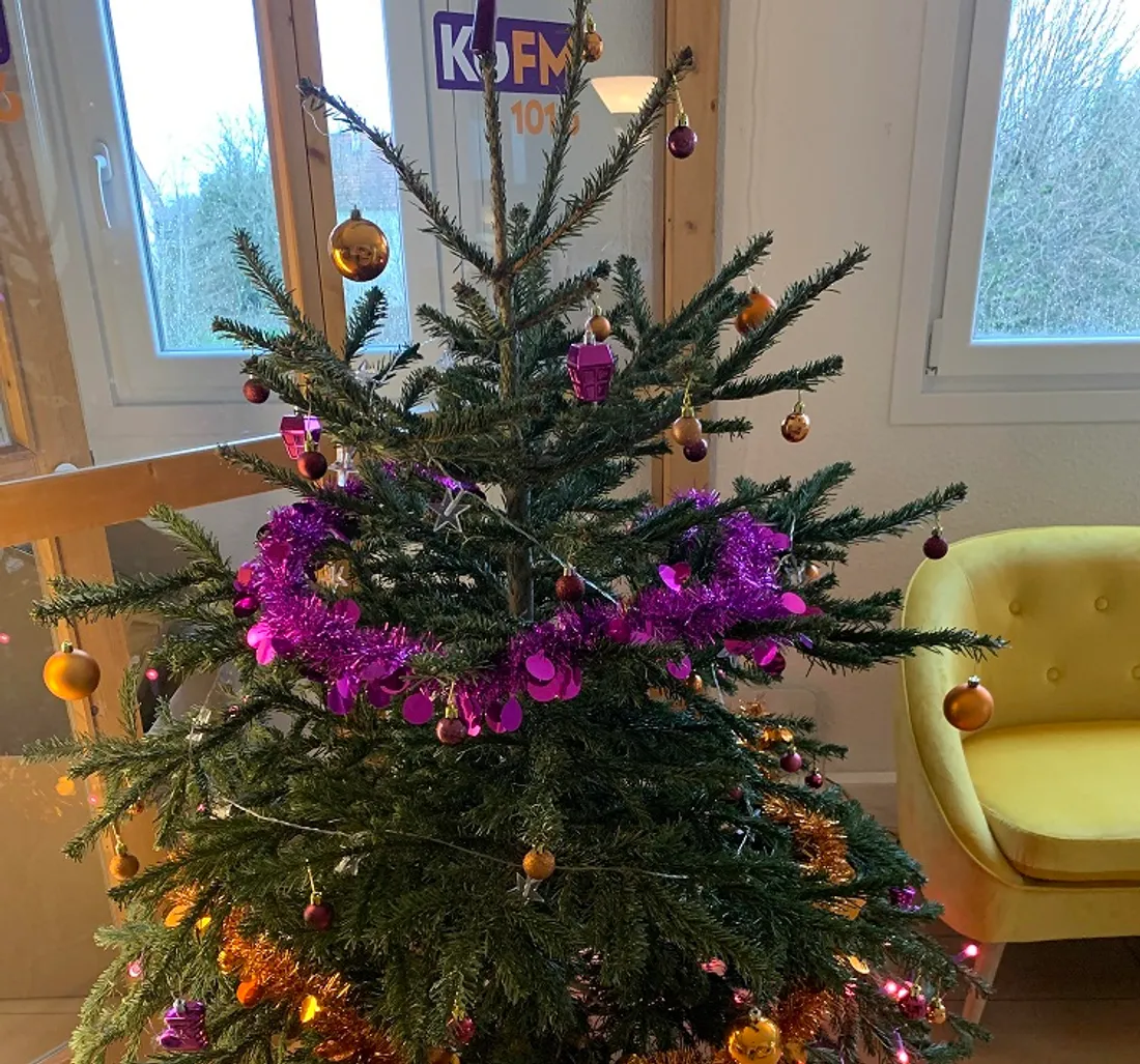 Les sapins devront être déposés sans décorations, sans pieds ou neige artificielle. 