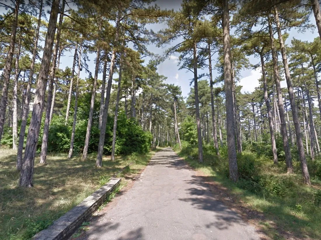 Interdiction de fumer et plus de barbecue sur le Plateau de Chenôve