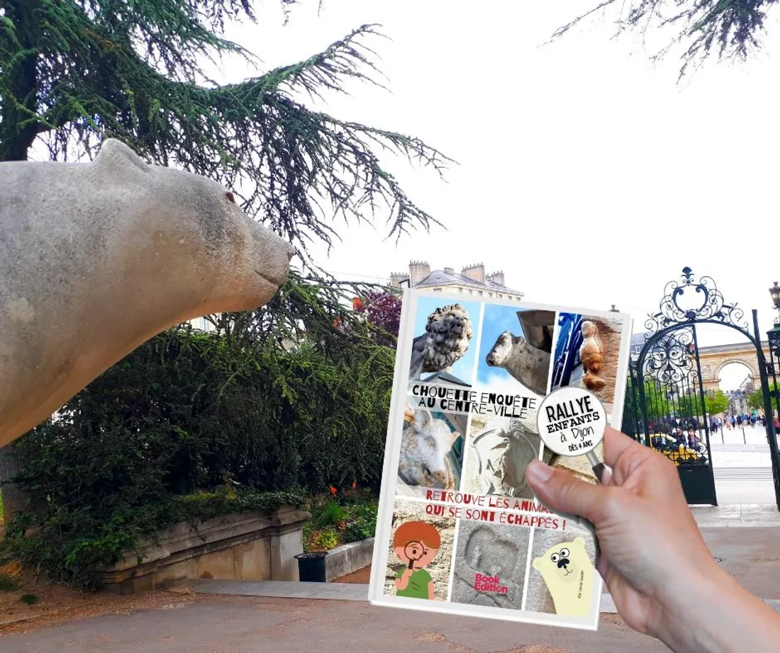 La Dijonnaise Cécile Castelli publie un nouveau livre jeux de sa série « chouette enquête »