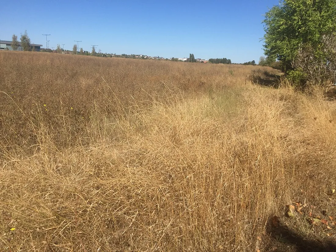 Depuis la mi-août, une faible quantité de précipitations est tombée en Côte-d'Or.
