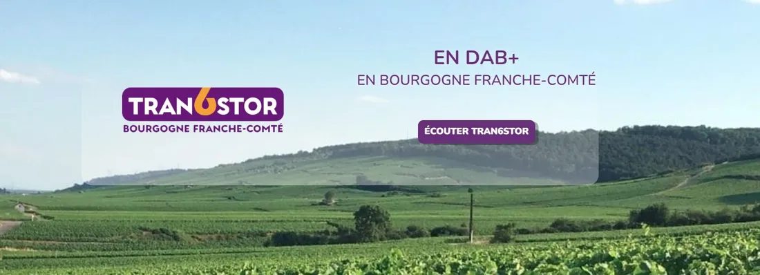 TRAN6STOR, la petite soeur de K6FM