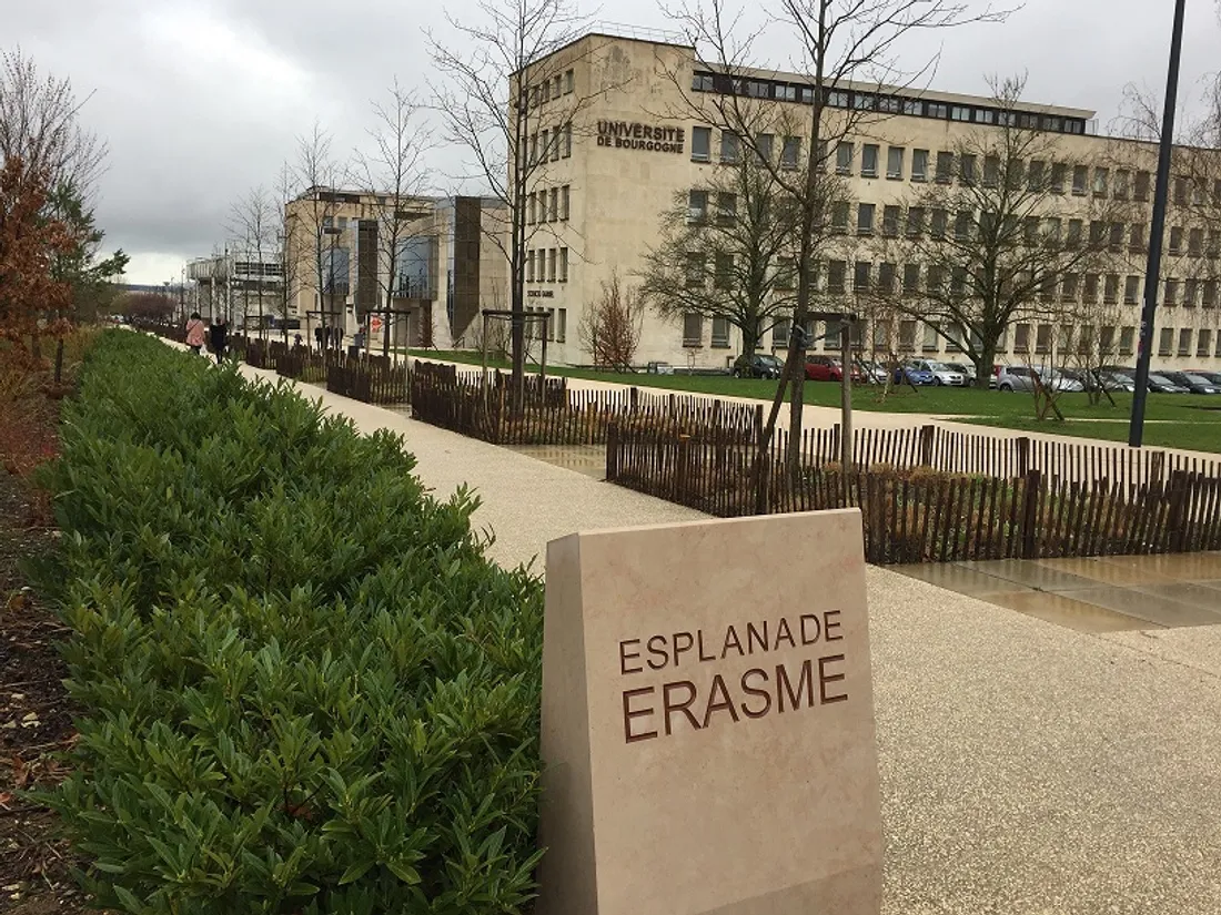 Ce mois-ci, la marche passera par le campus universitaire de Dijon.