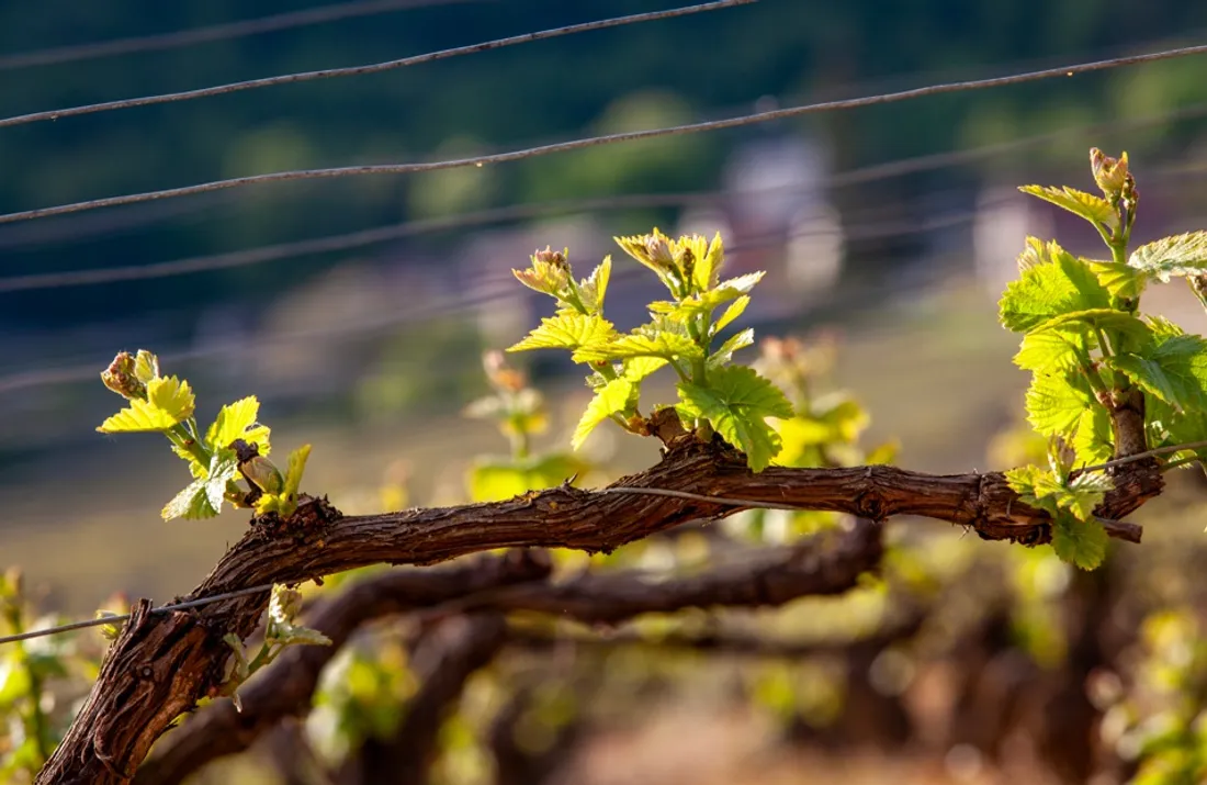 Une table ronde à ne pas manquer...