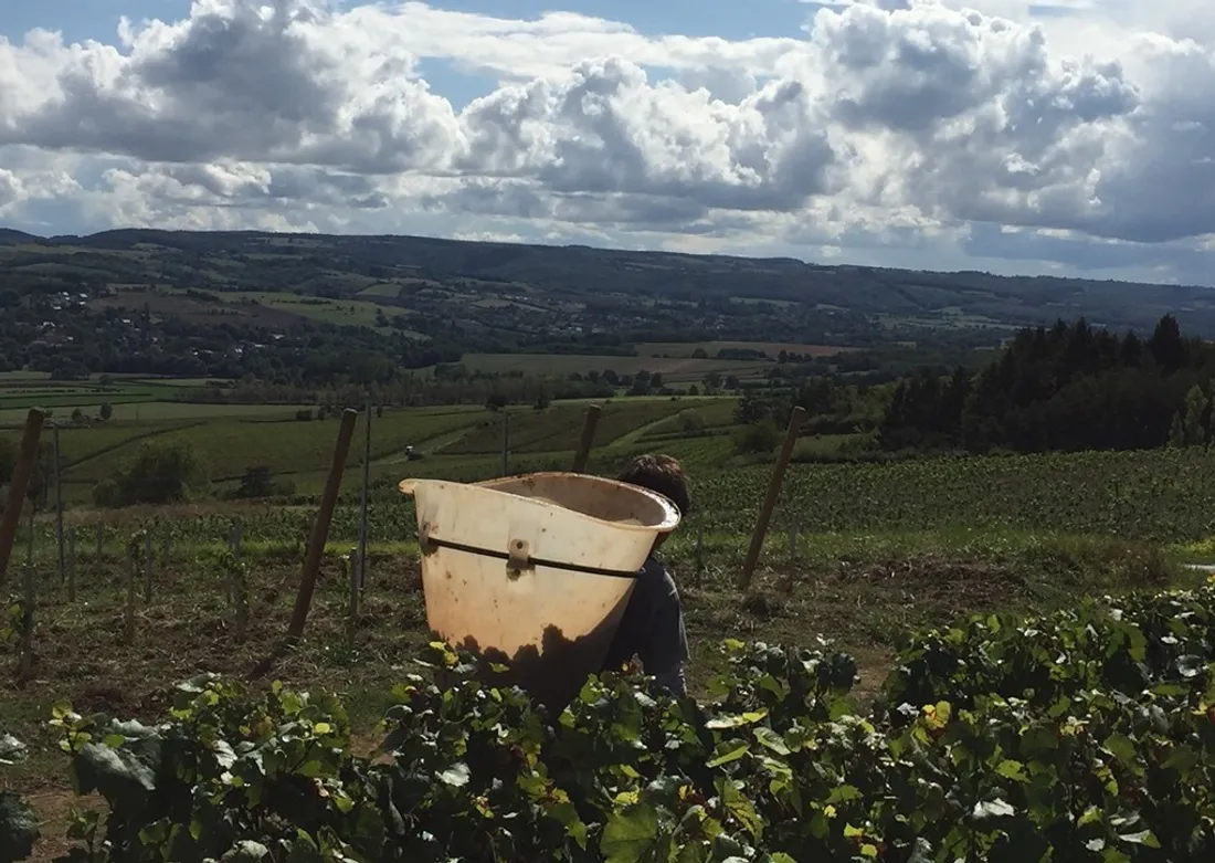 Les syndicats agricoles invitent les agriculteurs à ne pas rester seuls 