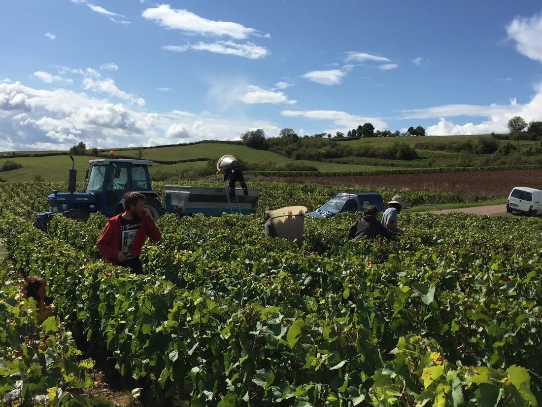 Plusieurs agriculteurs et viticulteurs de la région récompensés ce mardi 4 novembre à Beaune. 