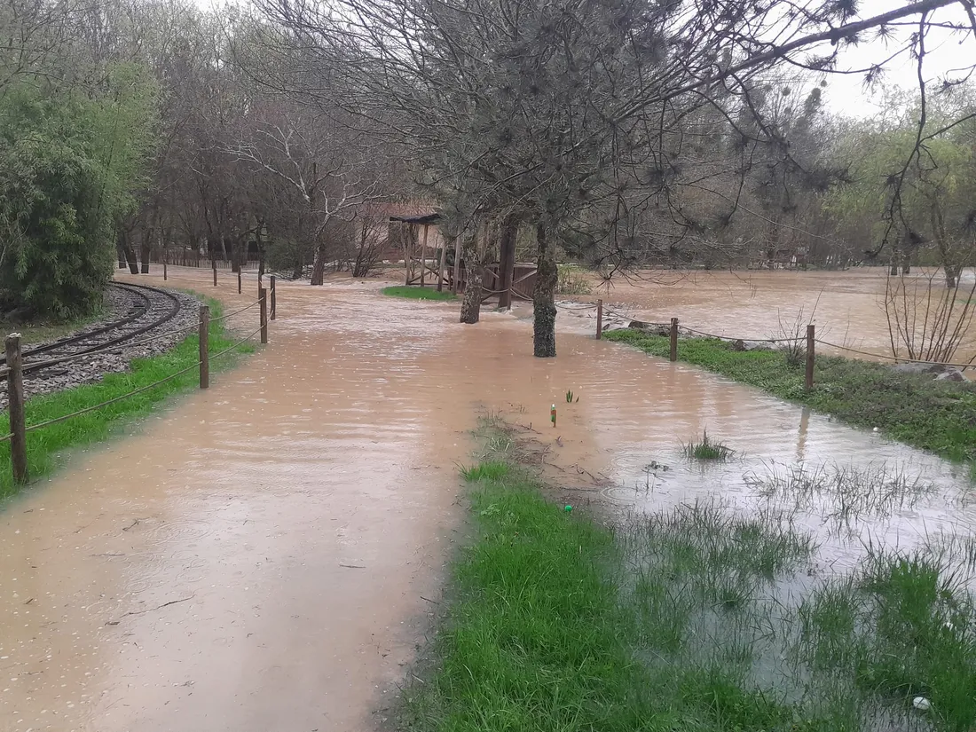 Suite à l'inondation du parc, les animaux ont dû être évacués. Certaines clôtures ont été dégradées.