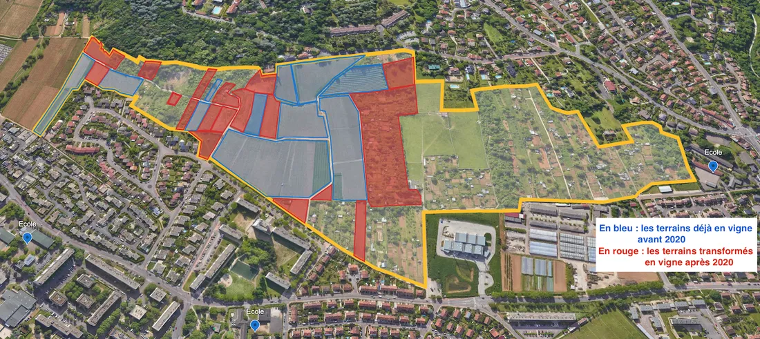 Les habitants des Valendons ne veulent pas de vignes dans leur quartier, en dépit de l'écologie. 