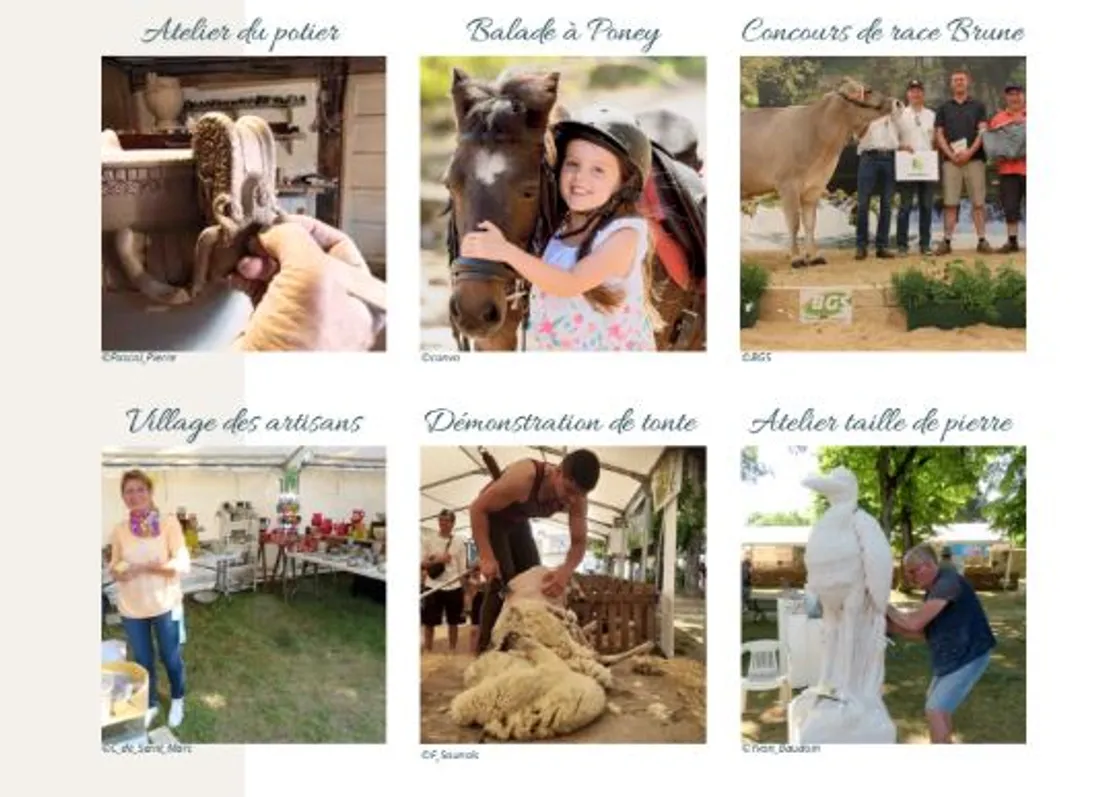 Châtillon-sur-Seine : deux jours de fête pour célébrer les talents du territoire