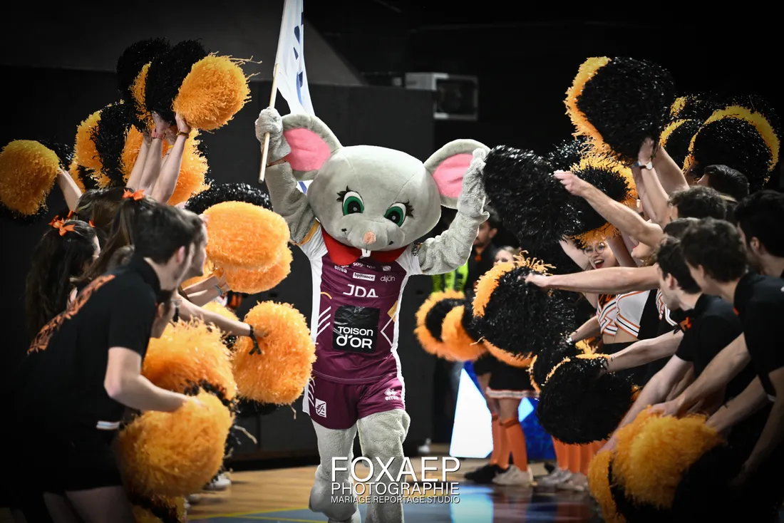 La mascotte de la JDA va trembler ce soir au palais