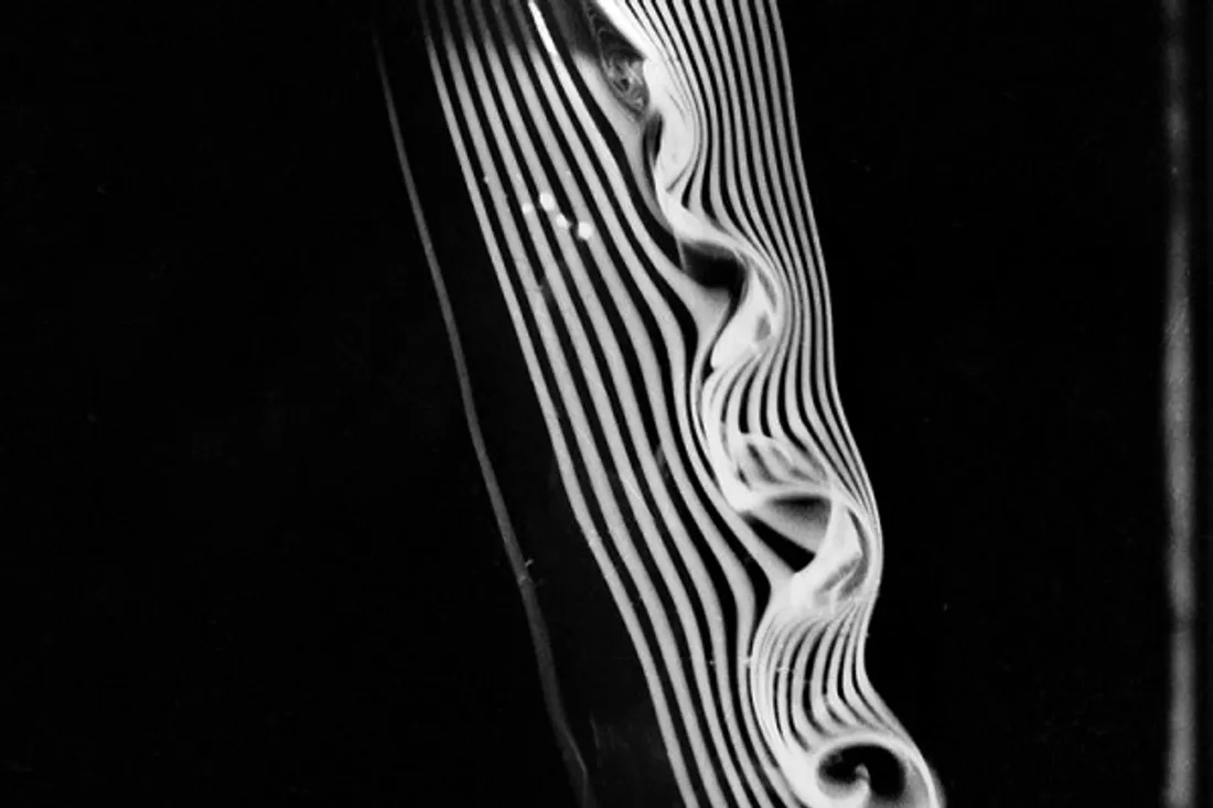 Étienne-Jules Marey, né à Beaune au XIXè siècle, mis à l'honneur avec une conférence à son effigie.