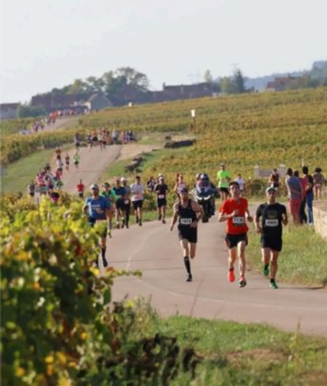Le Marathon des Grands Crus revient les 11 et 12 octobre 2025