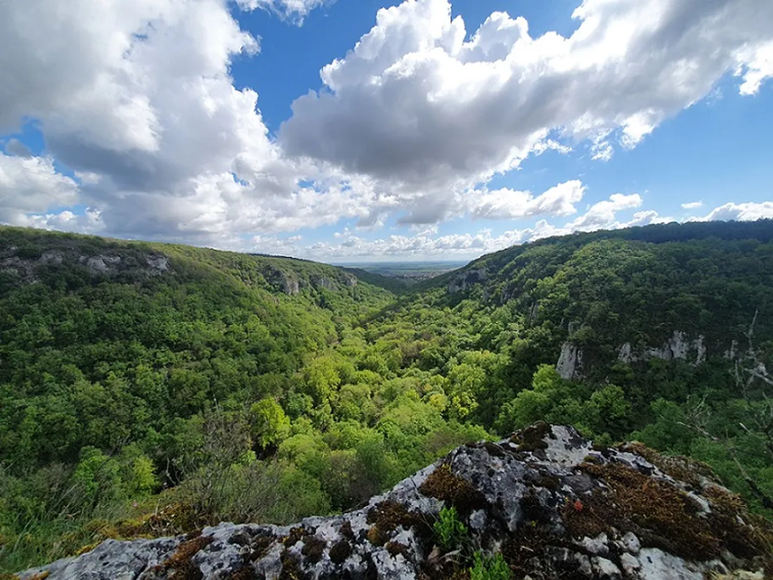 Fête de la Réserve Naturelle : sport et biodiversité à l'honneur