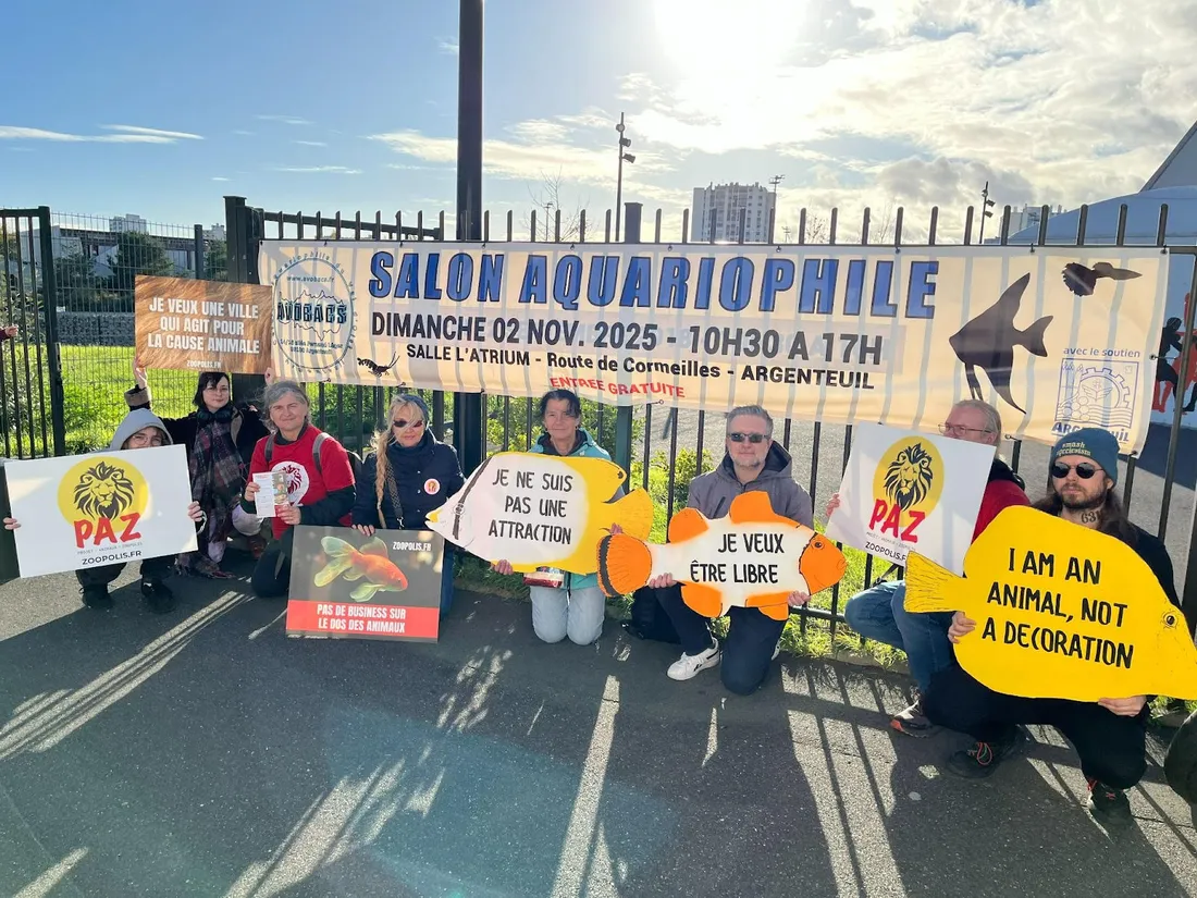 L’association PAZ se mobilise contre les concours aquariophiles. 