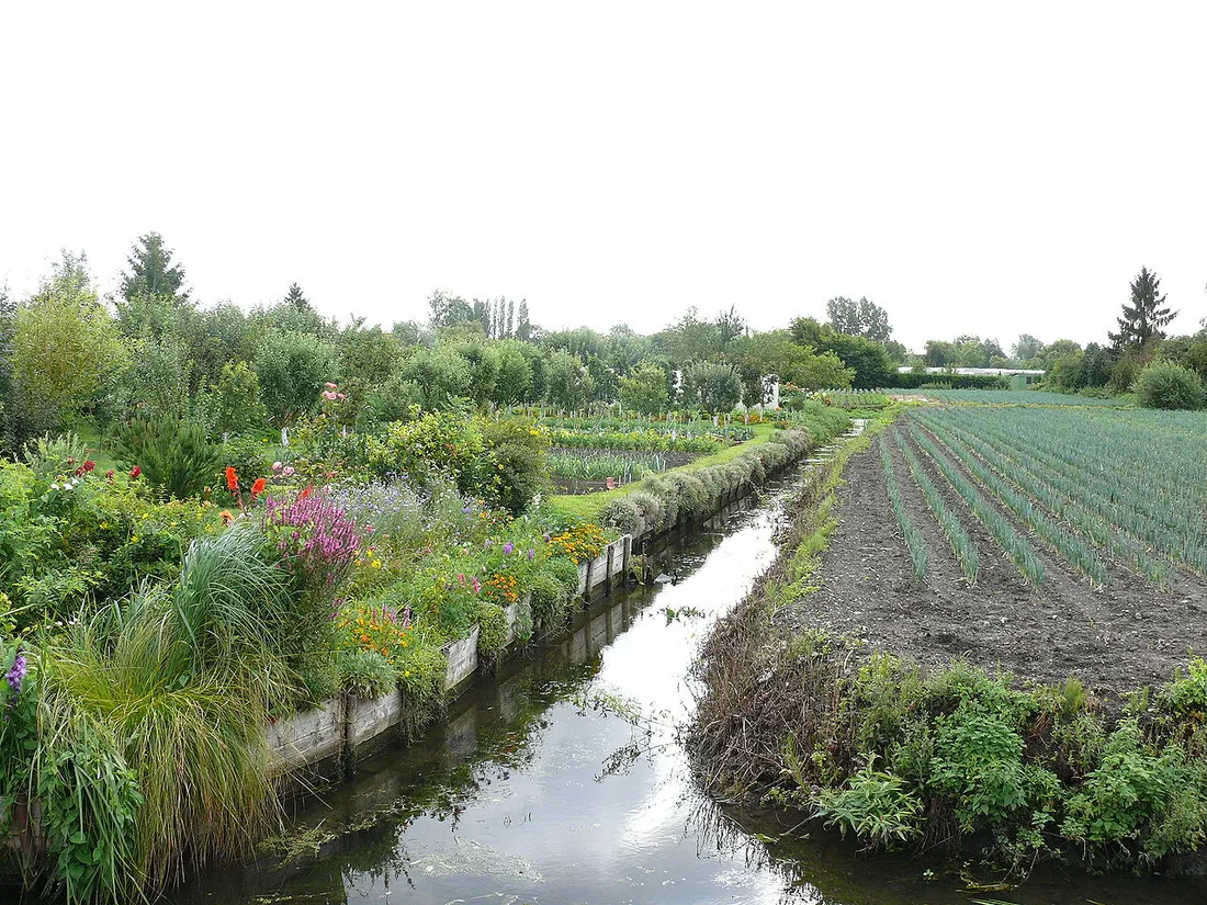 Les hortillonnages à Amiens