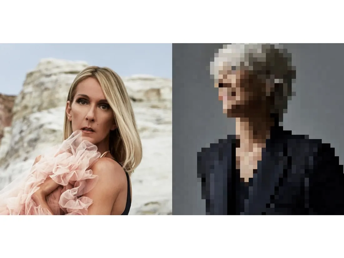 Céline Dion et Françoise Hardy