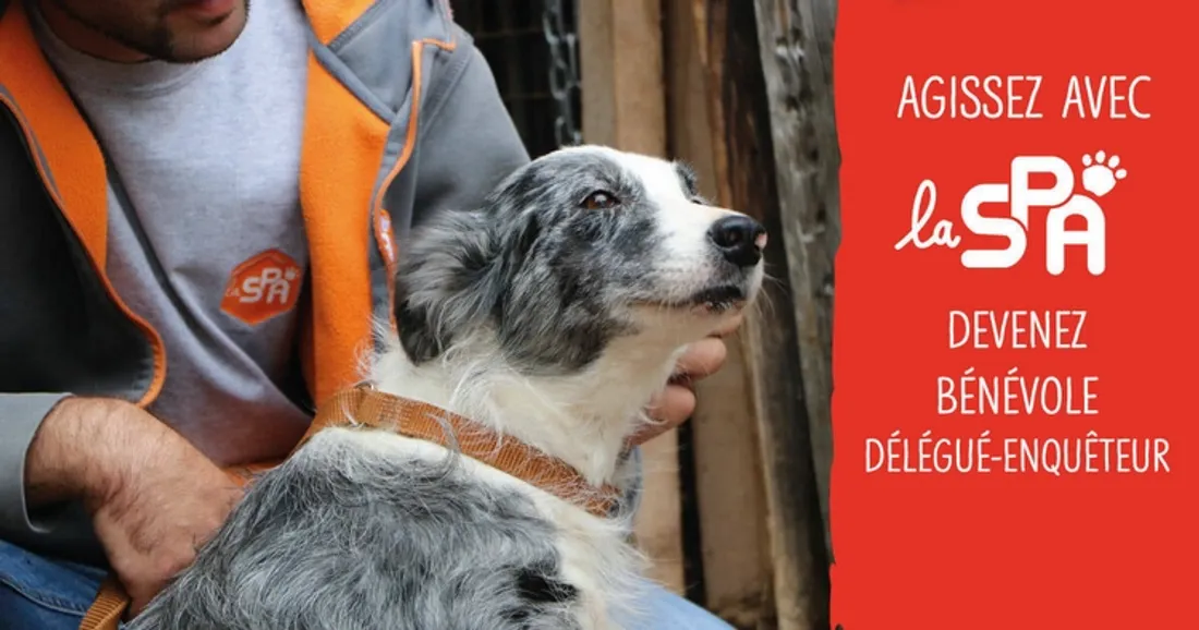 Délégué enquêteur