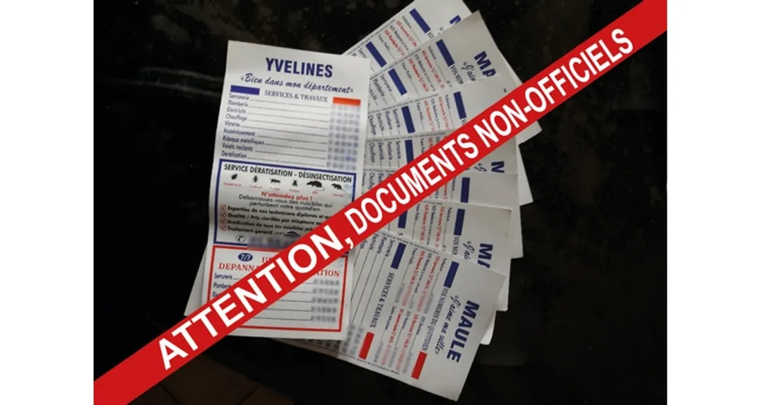 Prospectus frauduleux