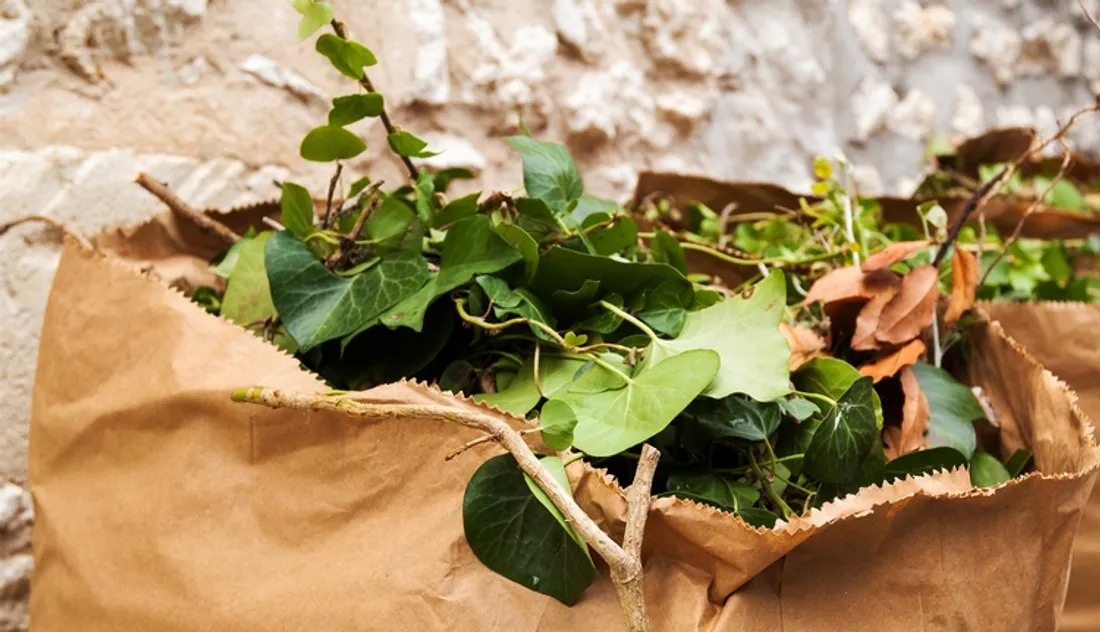 Sac à déchets verts