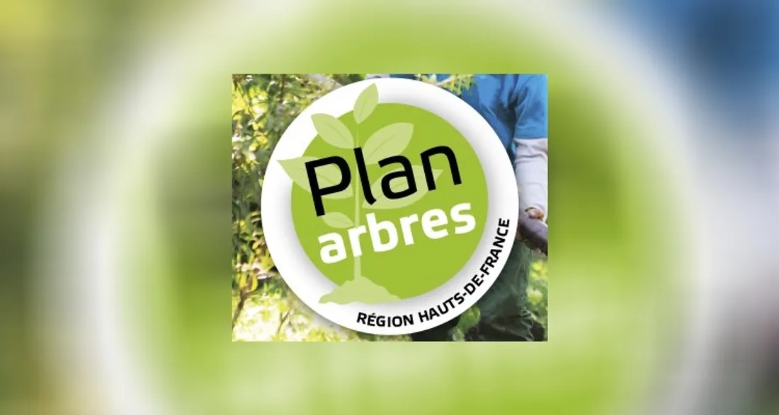 Plan arbres