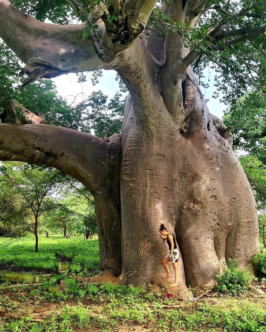 Zaz se tient près d'un arbre